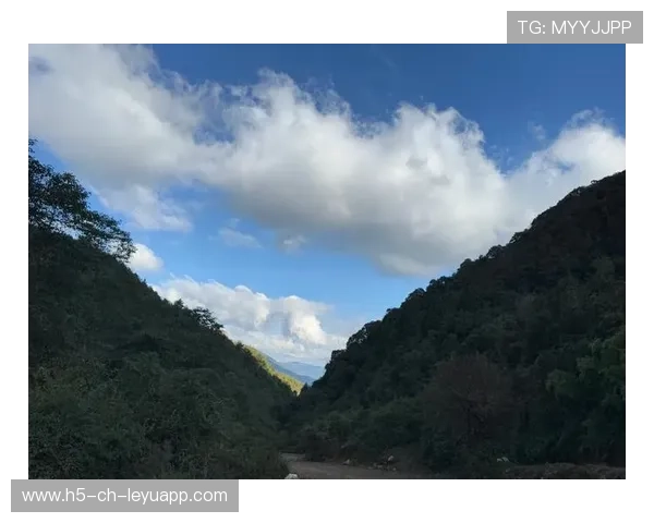 _大自然挑战赛：穿越原始森林的极限探险_，神奇的探险之旅,原始森林
