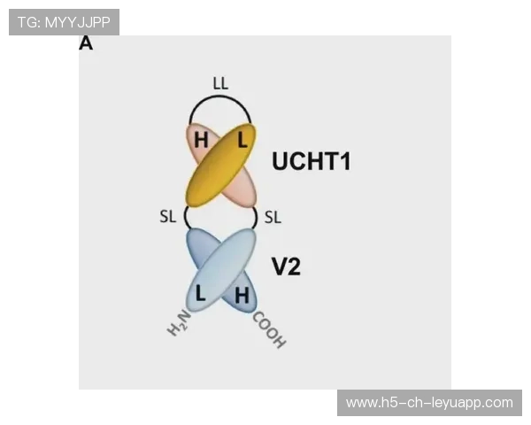 伤病恢复流程是否足够科学，伤病痊愈