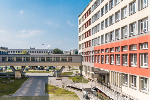 乐鱼体育登录-中国篮球职业联赛俱乐部青训体系建设与实践探索，篮球青年训练营