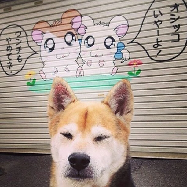 乐鱼电竞-五大联赛是否推动射门合理性评分替代总射门次数，五大联赛射手排名