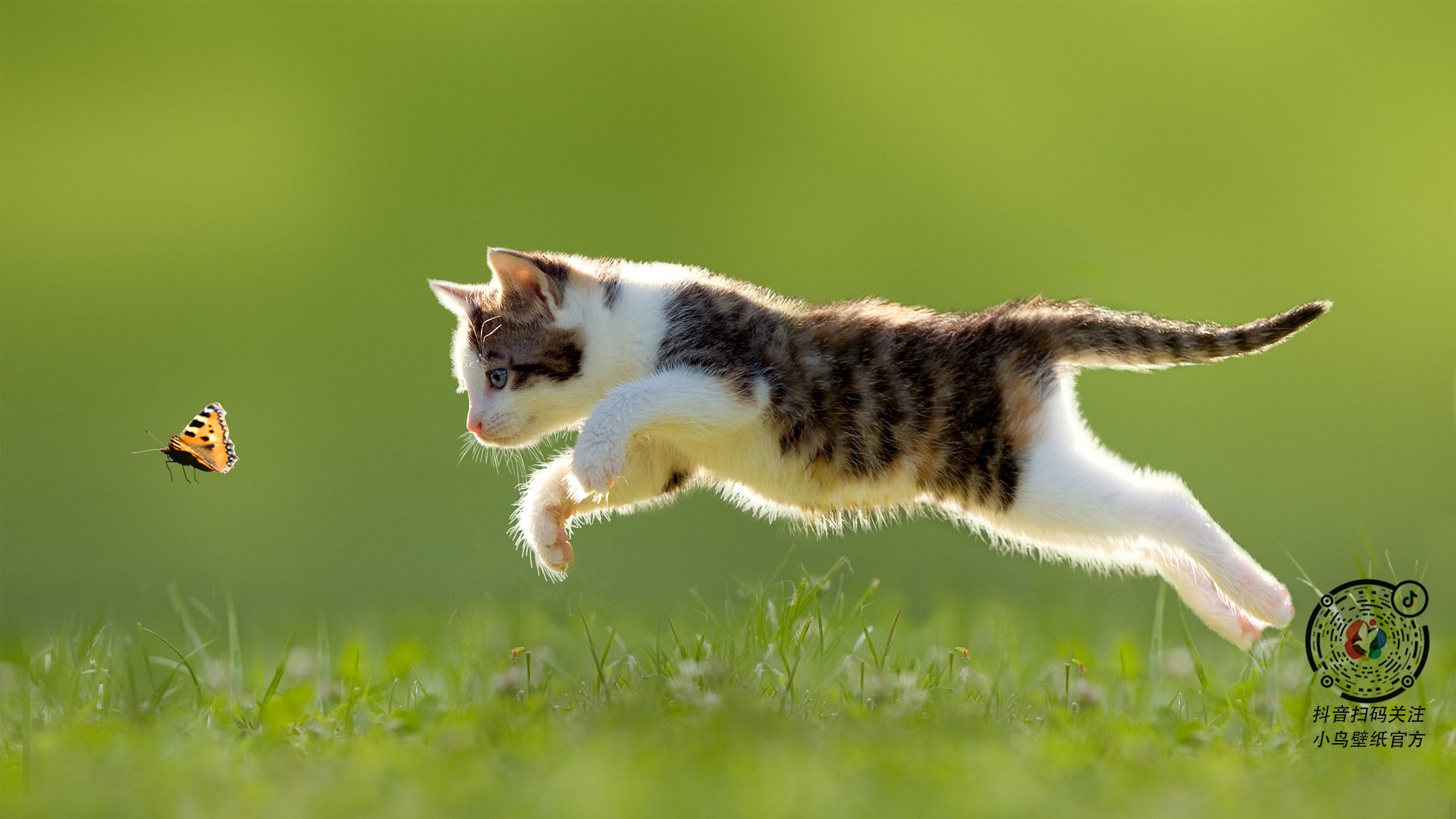 LEYU乐鱼体育官方网站-加拿大乒乓队未来发展：如何通过增加海外交流提升队员水平，2021加拿大乒乓球选手