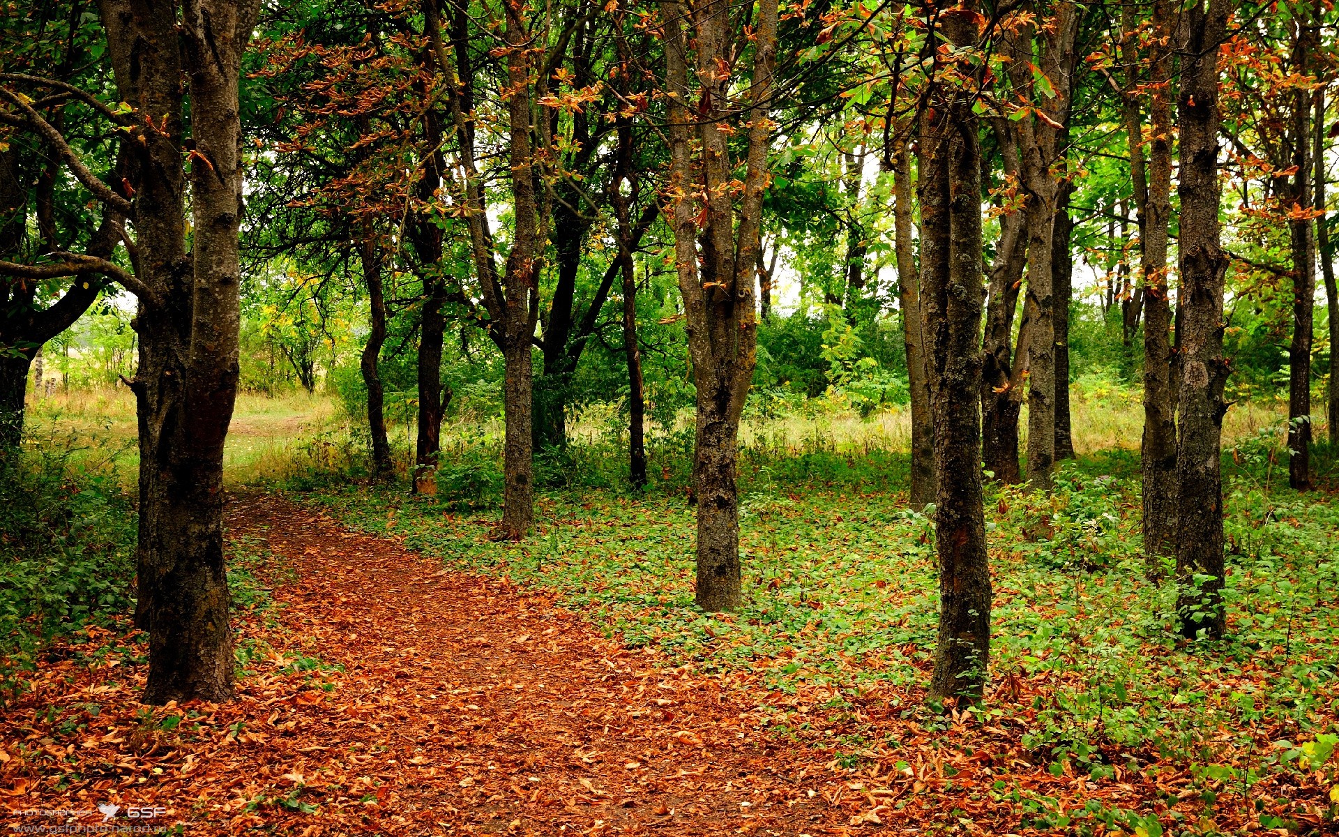 乐鱼app-电子评分系统首次应用于国际乒乓赛,乒乓球电子裁判 第1张 乐鱼app-电子评分系统首次应用于国际乒乓赛,乒乓球电子裁判 第1张