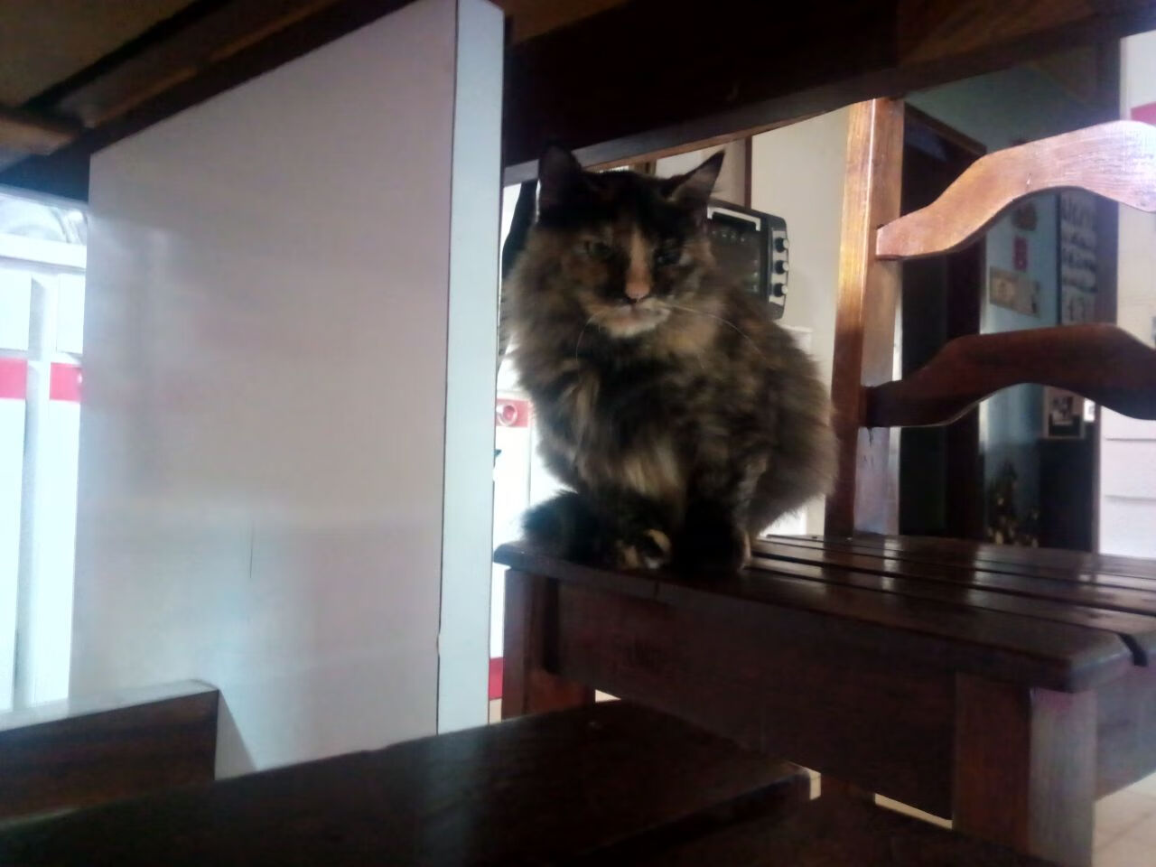 乐鱼（LEYU）体育-职业球员退役后从业路径不明确，职业篮球运动员退役干嘛