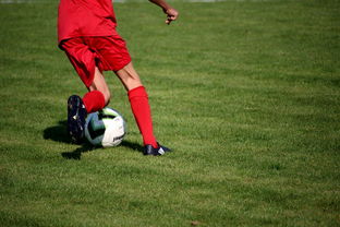 乐鱼电竞-足球青训教练员认证体系全面升级，足球青训教练平均工资水平