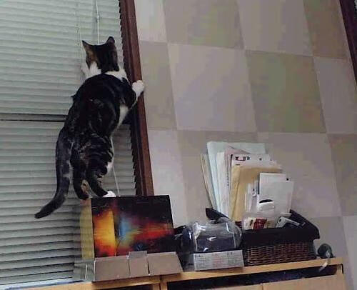 LeyuSports-“费尔南多·比亚尔巴:阿根廷橄榄球的技艺与智慧的结合体” 第1张 LeyuSports-“费尔南多·比亚尔巴:阿根廷橄榄球的技艺与智慧的结合体” 第1张