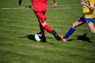 leyu乐鱼官网登录入口-特色足球文化在国际博览会中亮相,展示国家软实力,世界足球文化