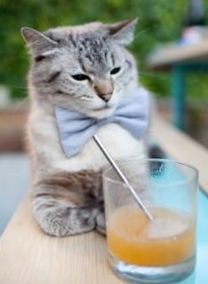 乐鱼娱乐app-英格兰男队伤病困扰，粉丝热议，英格兰队队员