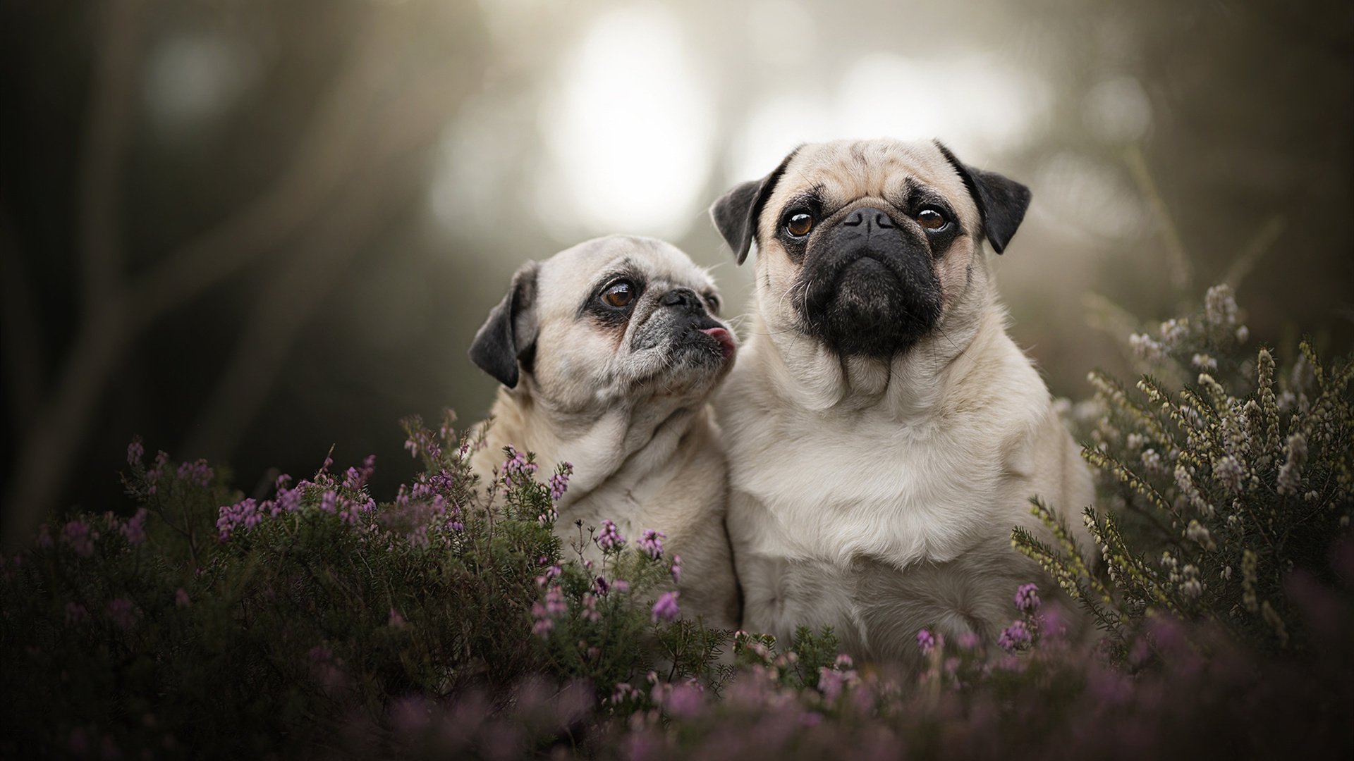 乐鱼体育App下载-足球产业链新兴企业崛起，创新驱动行业发展，中国足球产业链