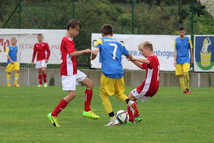 LEYU乐鱼体育官方网站-PSG球迷对未来充满期待与担忧，psg-esports